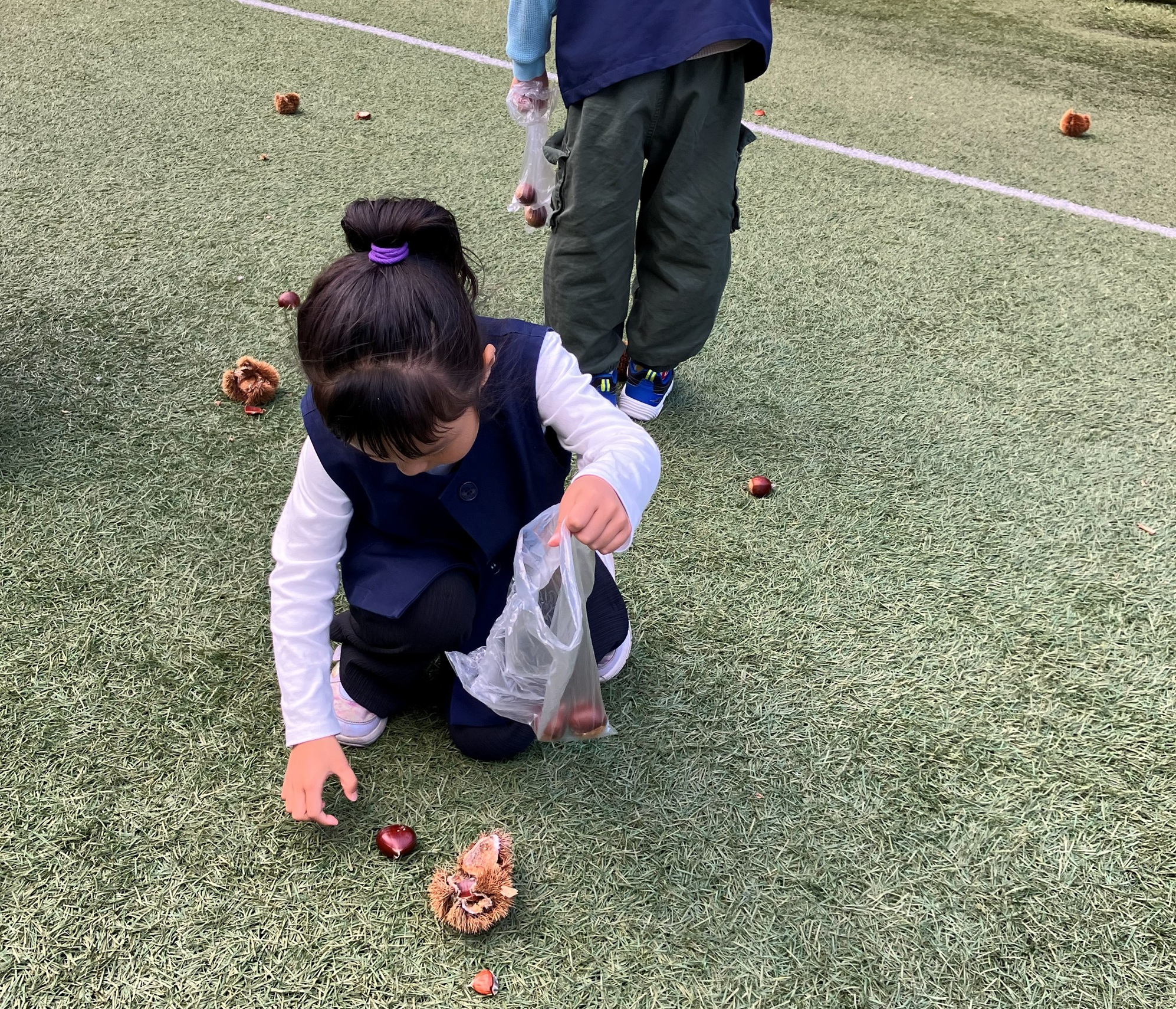 栗拾いをしました